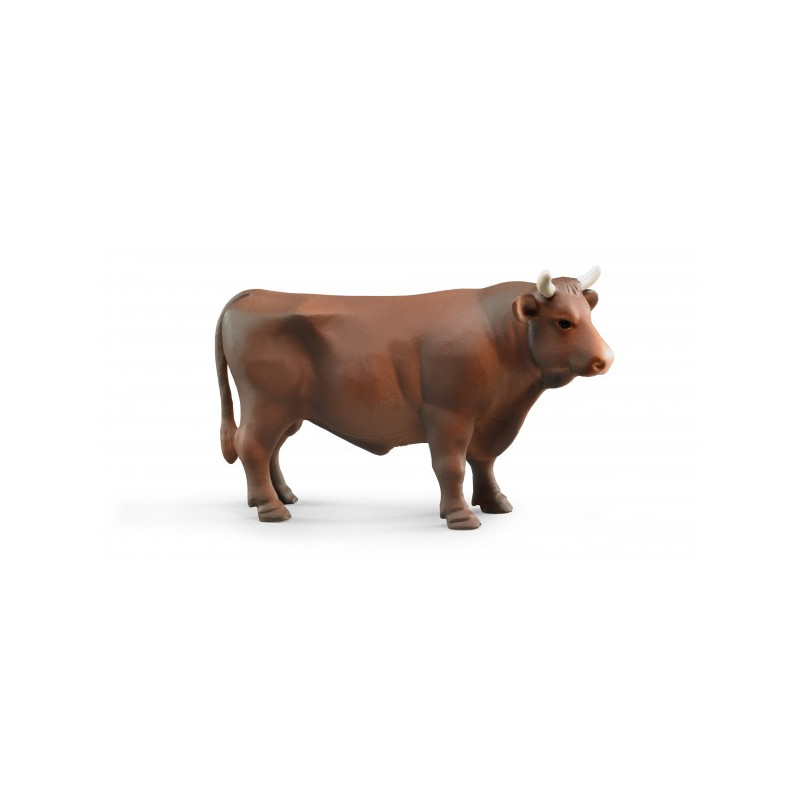 Toro